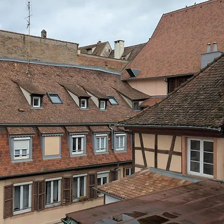 Citycosy - Le Nid De La Cathedrale * Strasbourg